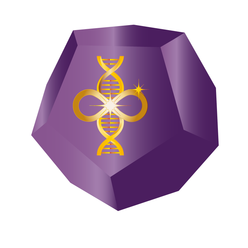 Cámara Tachyónica Norte